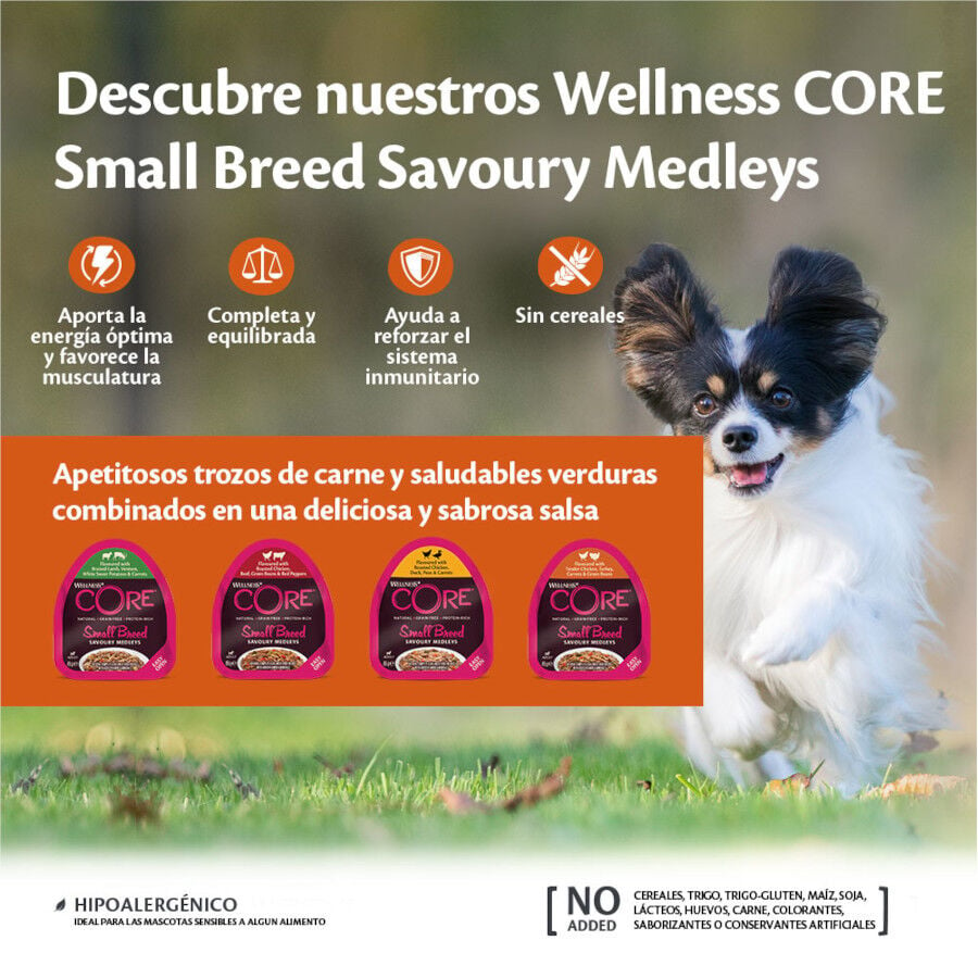 Wellness Core Small Breed Grain Free Pollo y Pato tarrina para perros, , large image number null